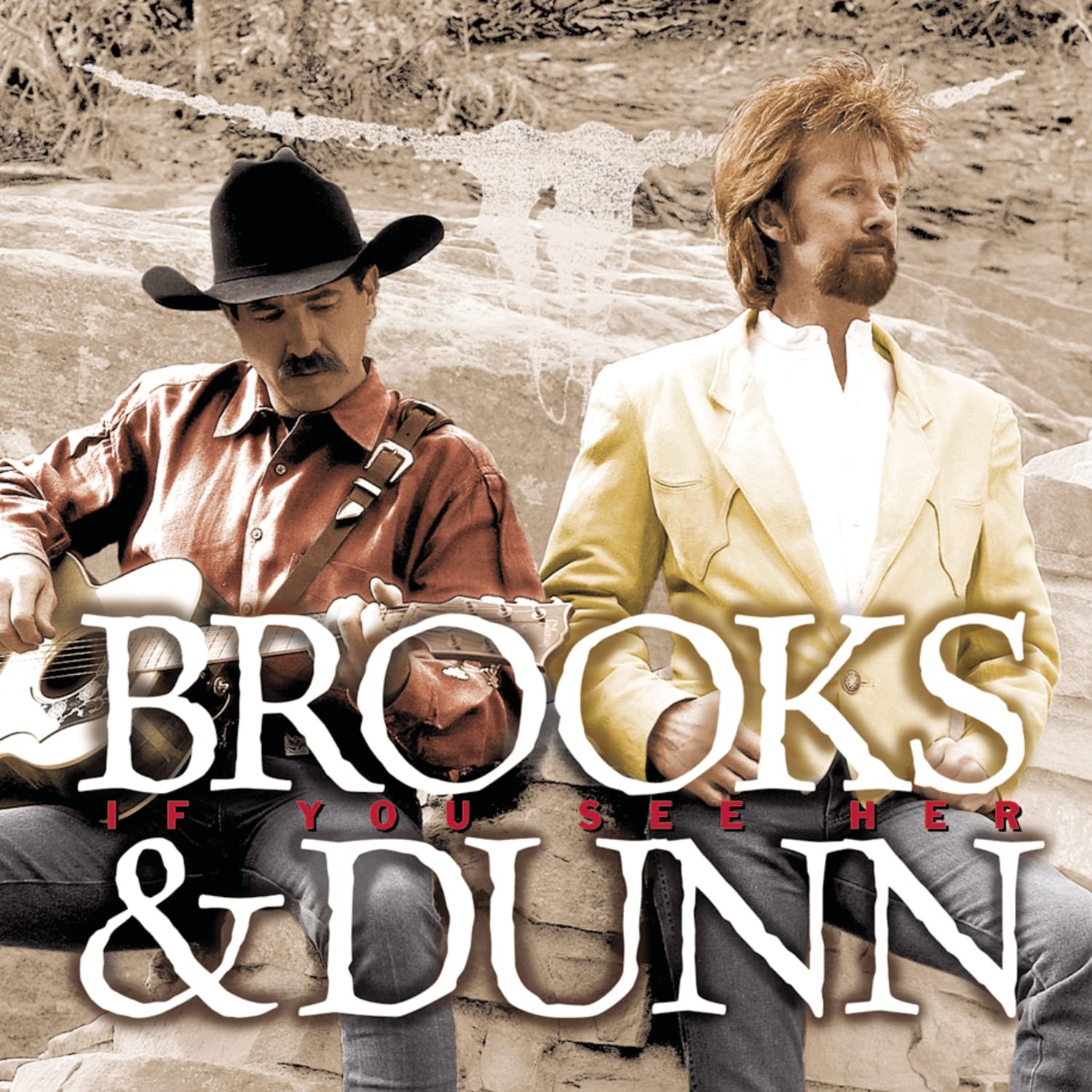 Brooks & Dunn Brooks & Dunn: If You See Her (CD)