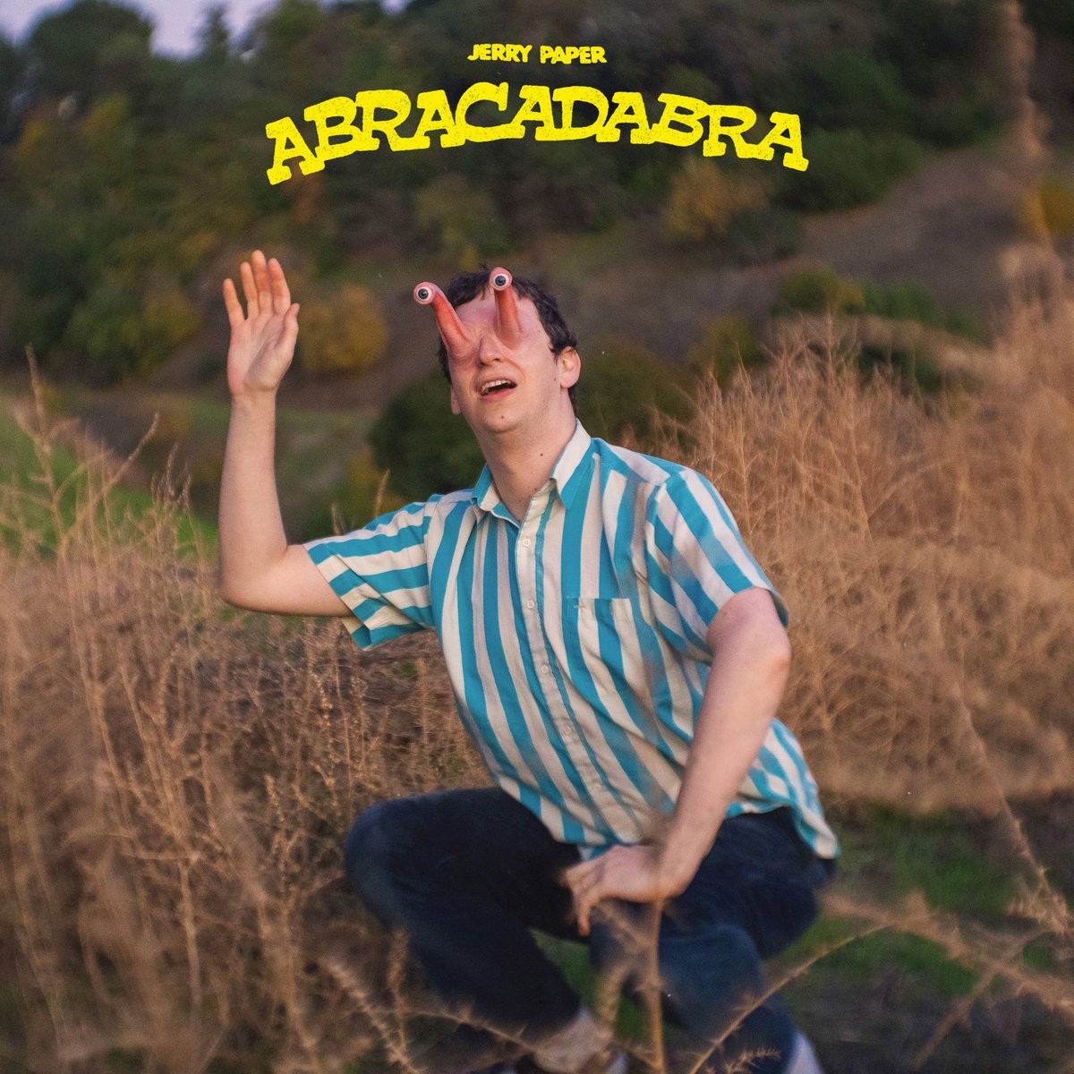 Jerry Paper Abracadabra (Vinyl LP) 12" Album