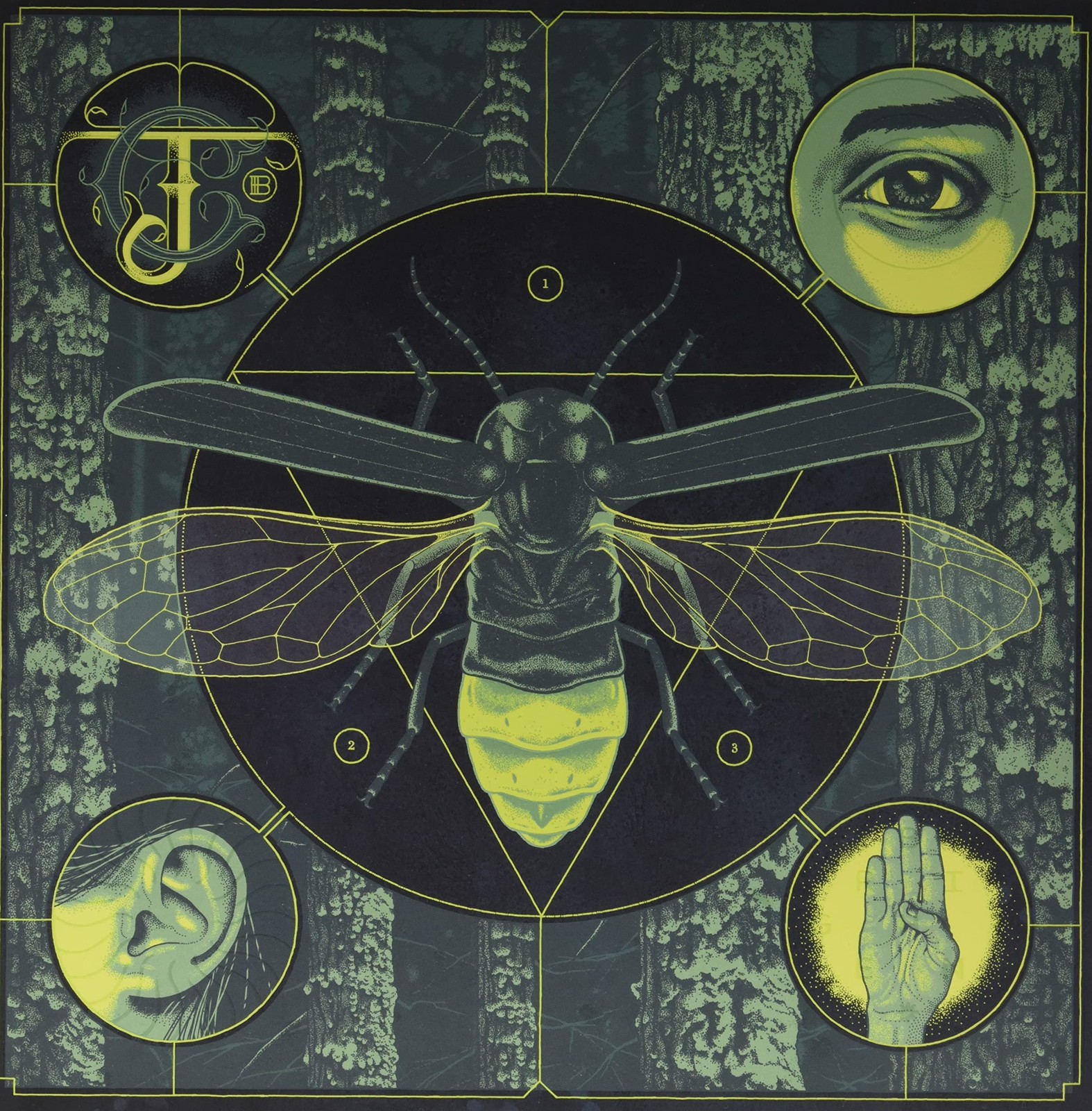 Jerry Cantrell Brighten Electric Glow-In-The-Dark (Vinyl LP)