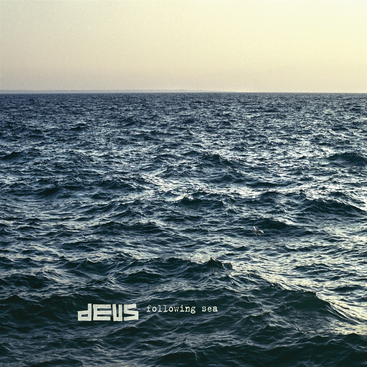 dEUS Following Sea (Vinyl LP) 12" Album