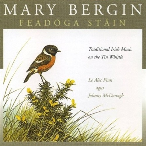 Feadoga Stain 1 by BERGIN MARY [Audio CD]