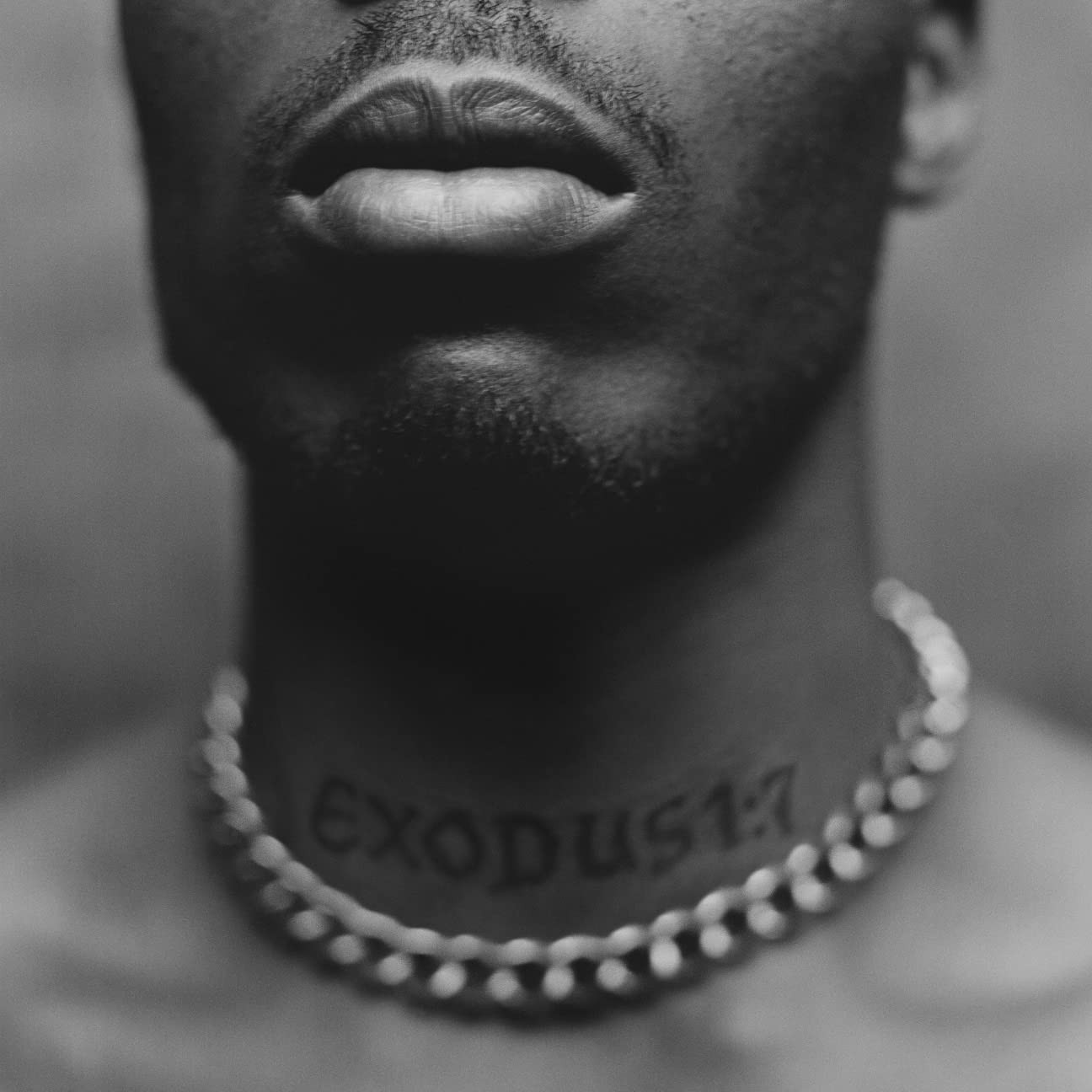 DMX Exodus   clean (CD)