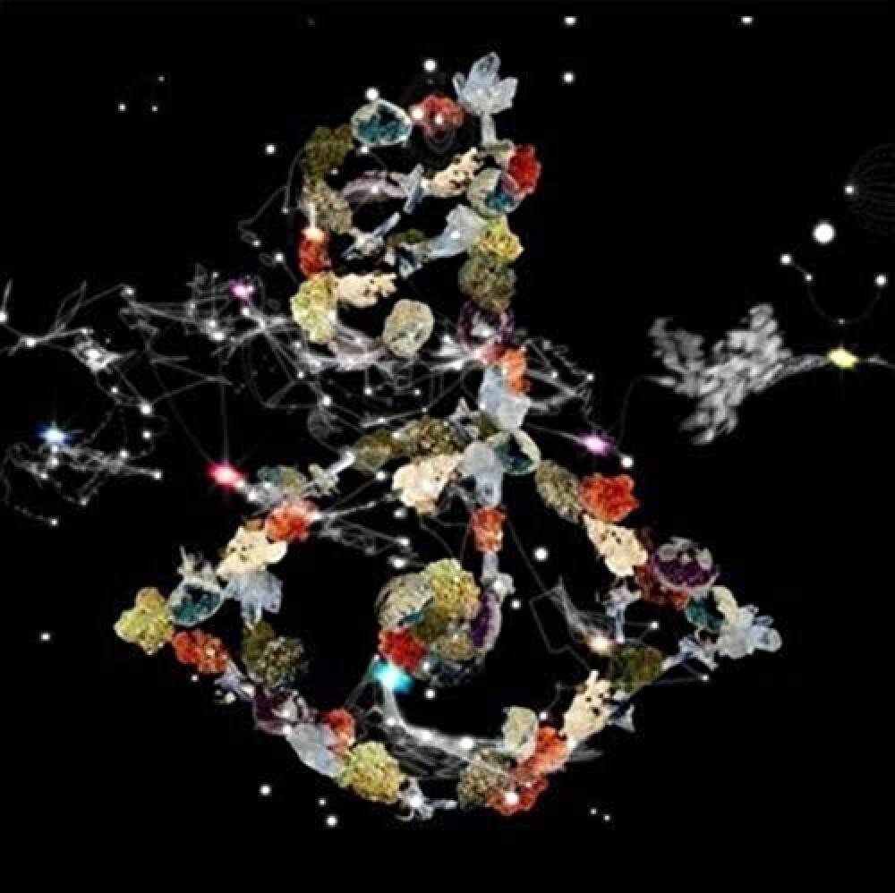 biophilia - NUOVO