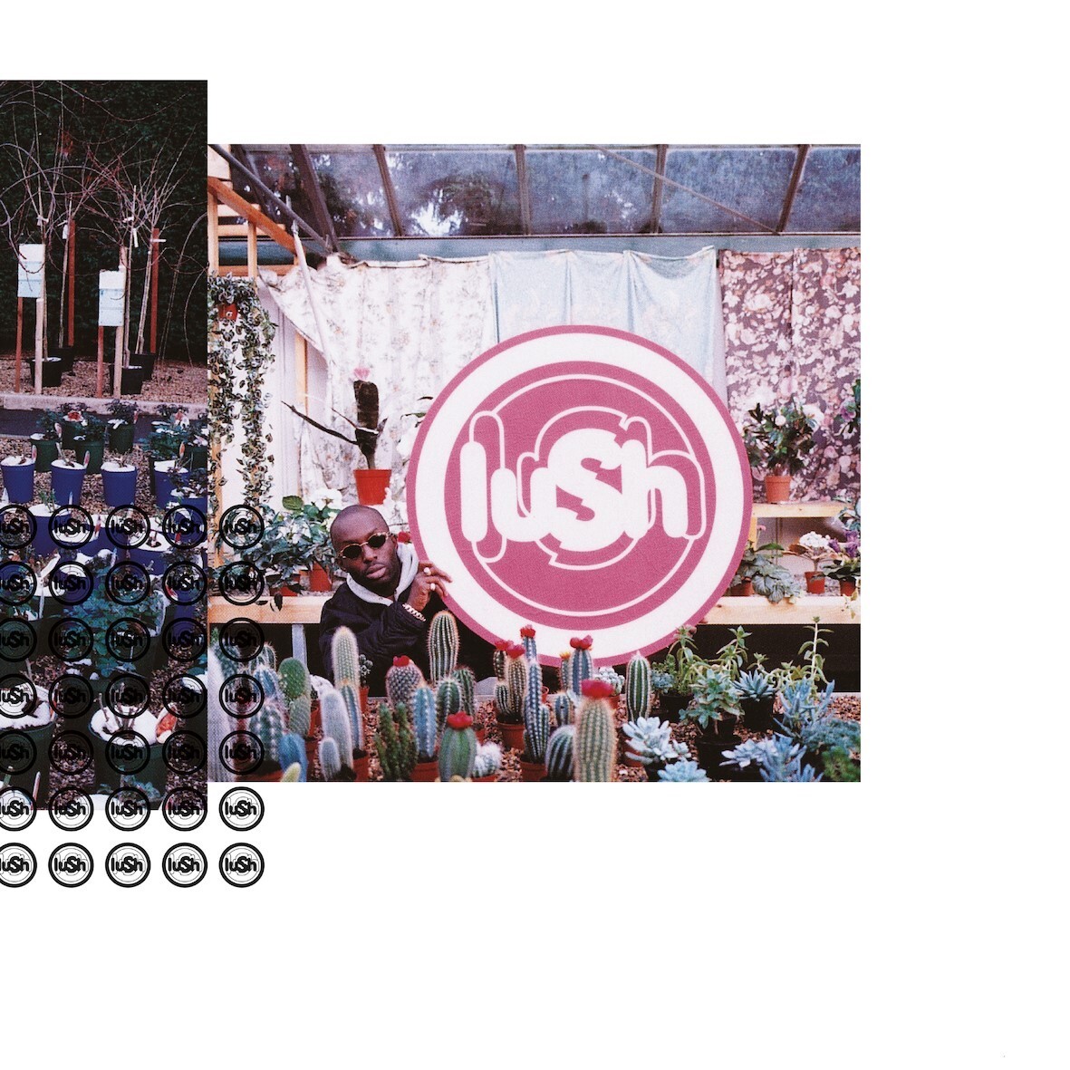 Lush Lovelife (Vinyl LP) 12" Album
