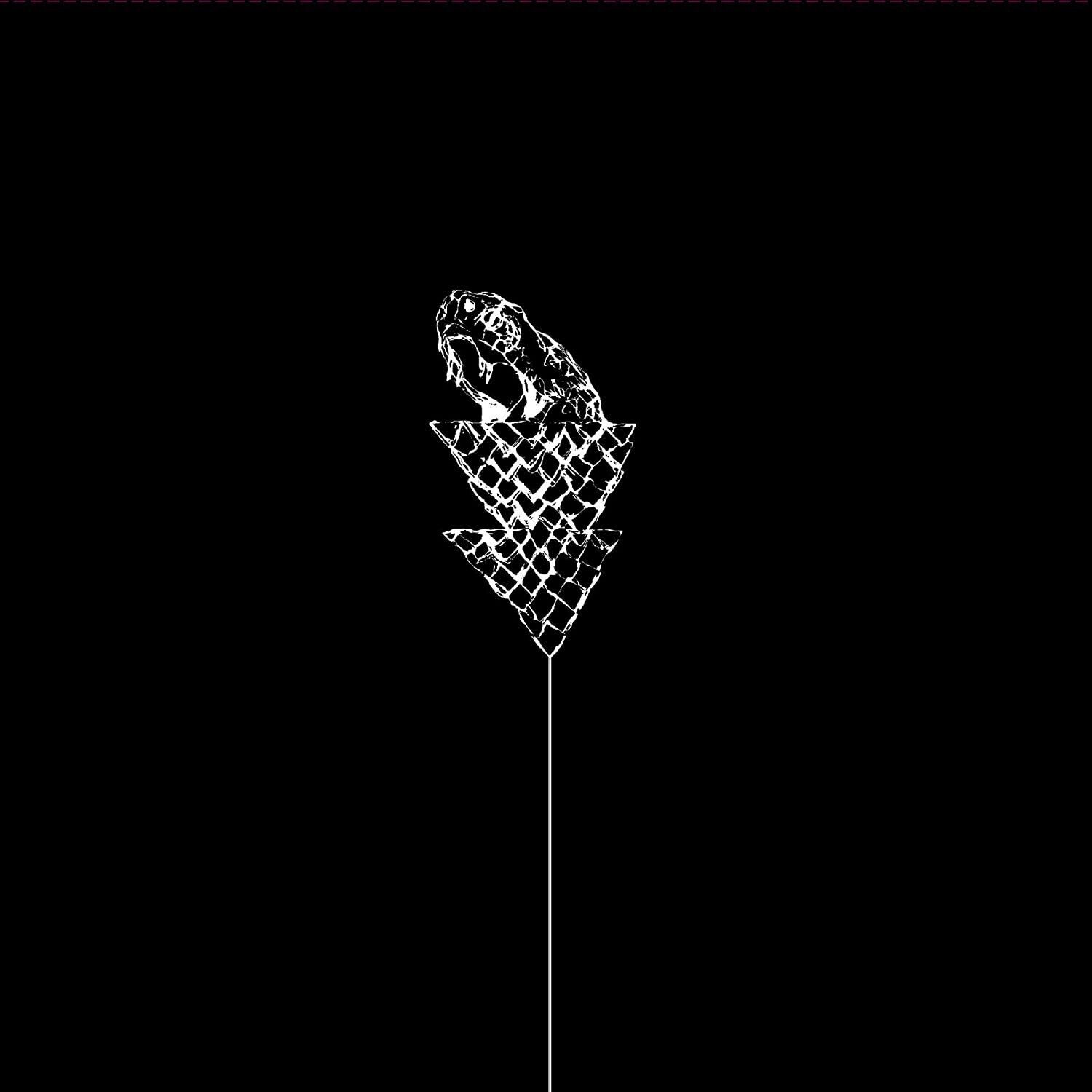 Wetware Flail (Vinyl LP) 12" Album (Clear vinyl)