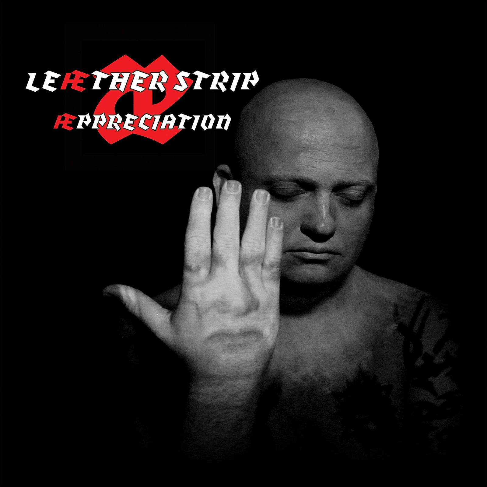 Leather Strip Appreciation (Vinyl LP)