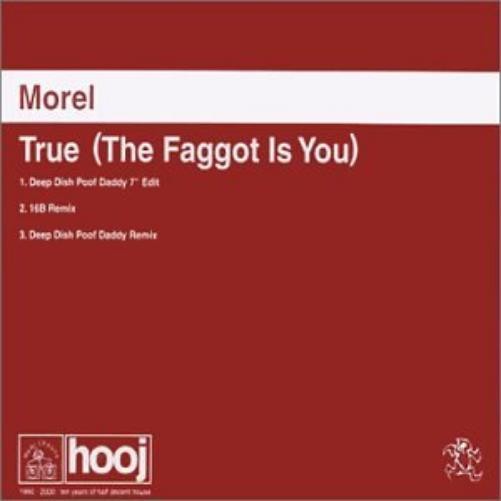 Morel True the Faggot Is You (CD) Single