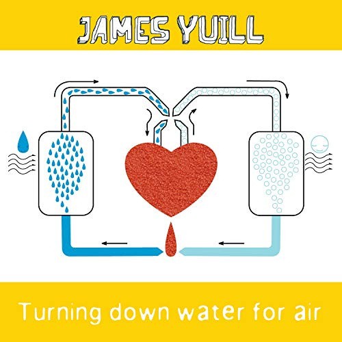 Turning Down Water for Air by James Yuill [Audio CD]