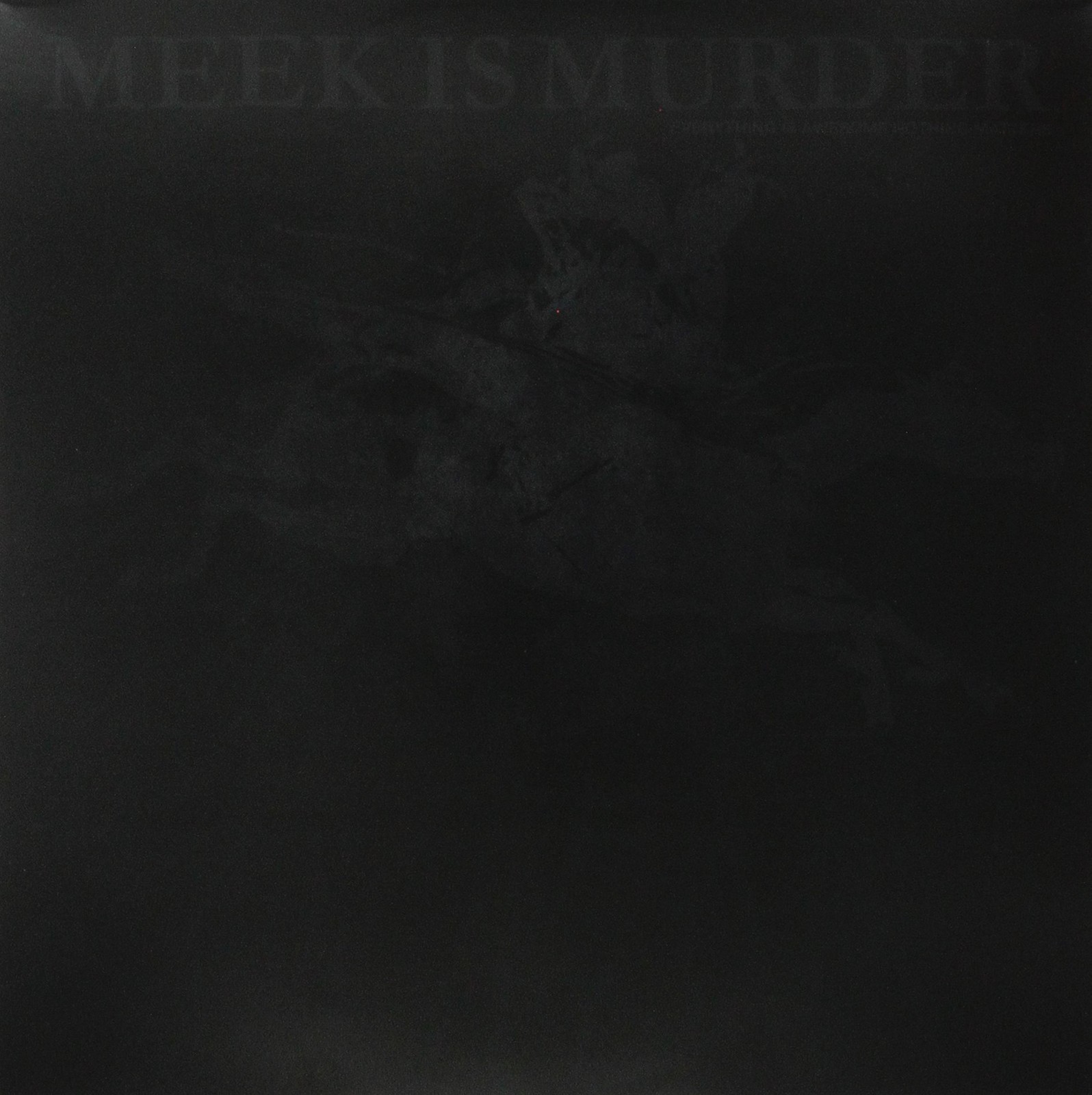 MEEK IS MURDER Everything Is Awesome Nothing Matters (Vinyl LP)