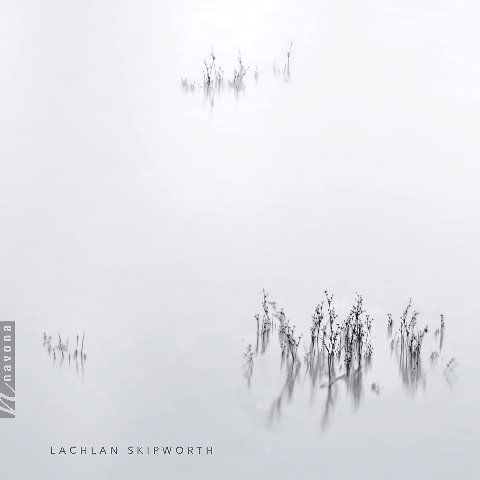Lachlan Skipworth Clarinet Quintet / Piano Trio (CD)