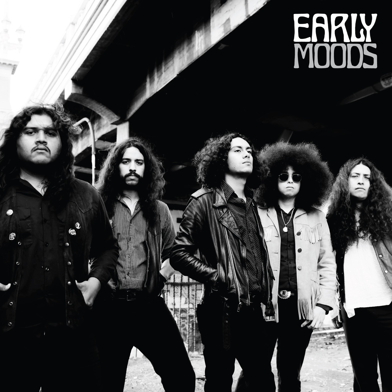 Early Moods Early Moods (Vinyl LP) 12" Album