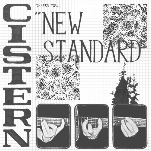 New Standard by Cistern [VINYL]