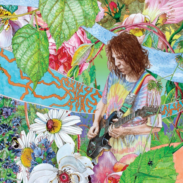 Ed Wynne Shimmer Into Nature (CD) Album