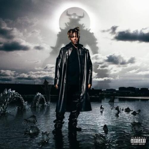 Juice WRLD Fighting Demons (Vinyl LP) 12" Album