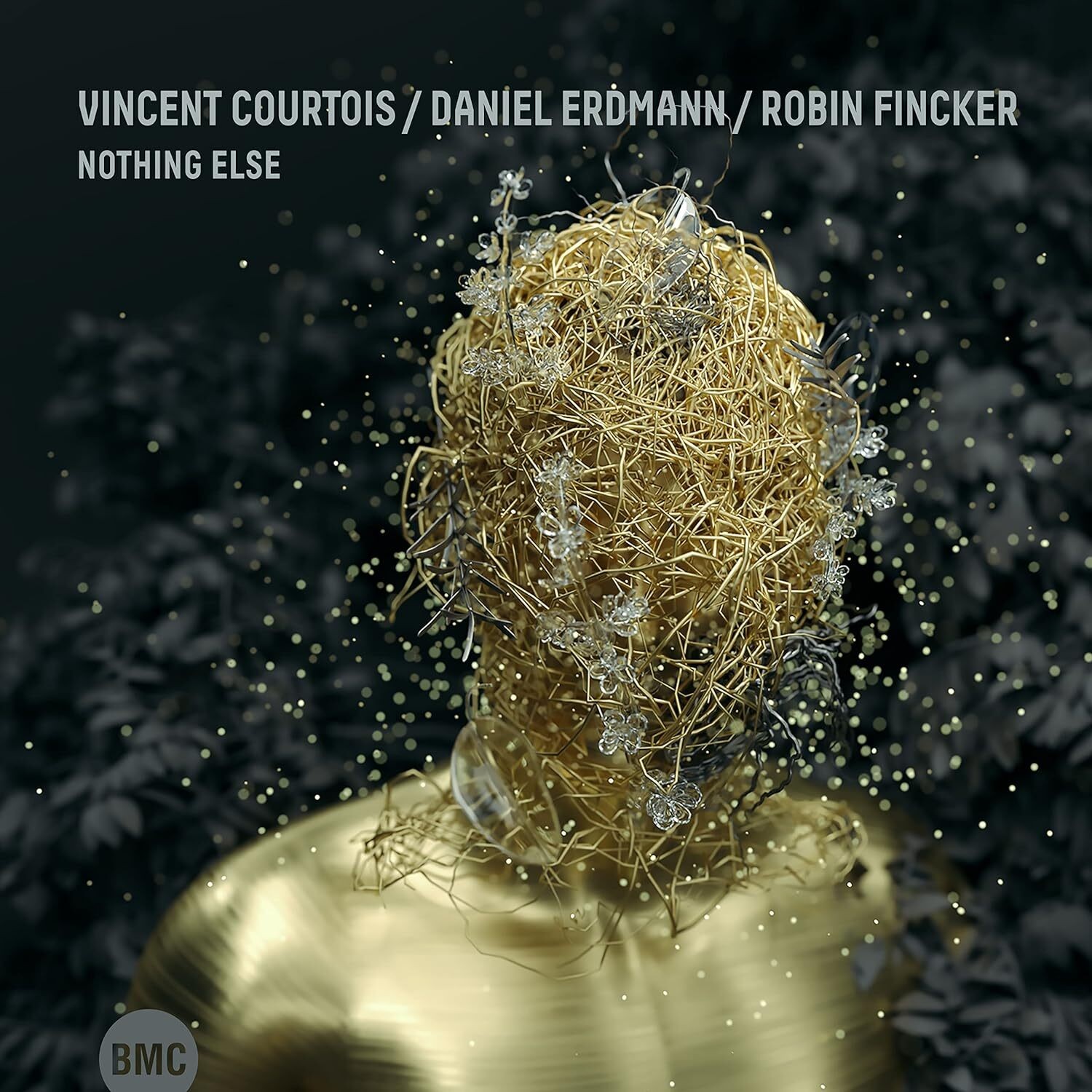 Vincent Courtois, Daniel Erdmann & Robin Fincker Nothing Else (CD) Album