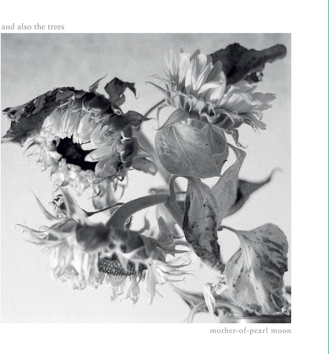 And Also the Trees Mother-of-pearl Moon (Vinyl LP) 12" Album