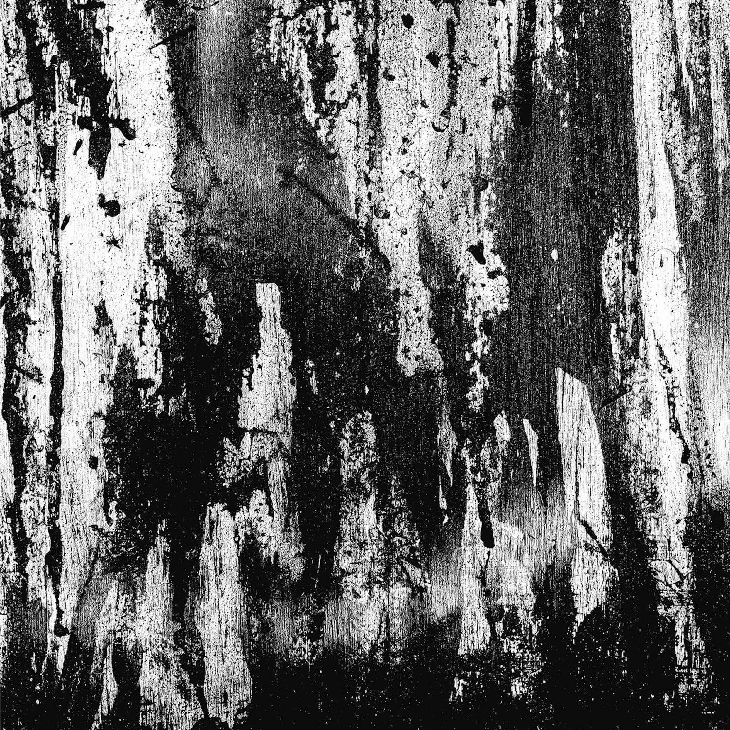 Wombripper From the Depths of Flesh (CD)