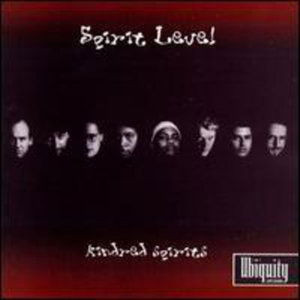 Spirit Level - Kindred Spirit - Vinile