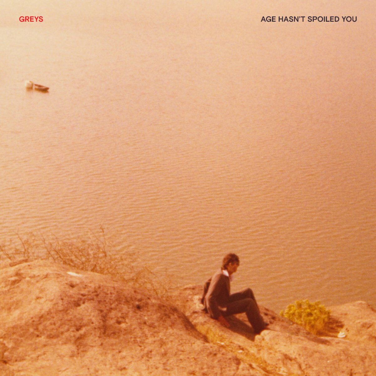 Greys - Age Hasn't Spoiled - Cd