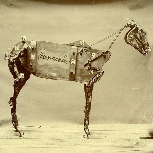 Chadwick Stokes The Horse Comanche (CD)