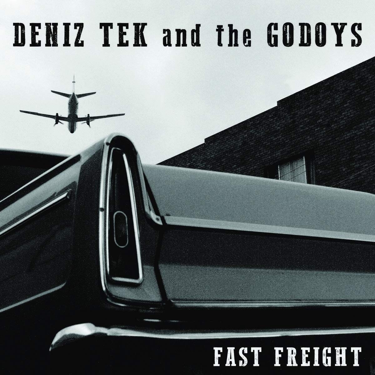 Deniz Tek And The Go Fast Freight (Euro) (Vinyl LP)