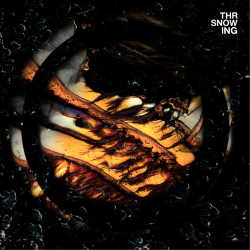 Throwing Snow Dragons (Vinyl LP) 12" Album