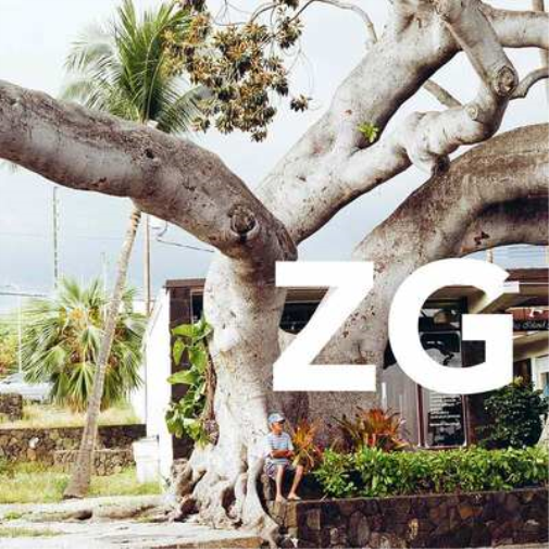 ZG ZG (Vinyl LP) 12" Album