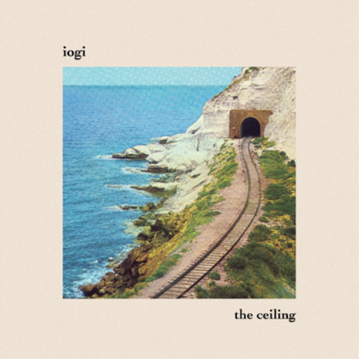 iogi The Ceiling (Vinyl LP) 12" Album