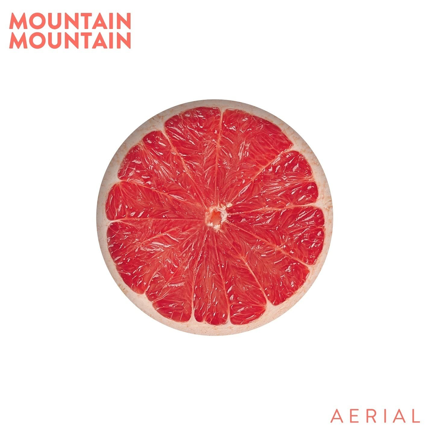 AERIAL (Vinyl LP)
