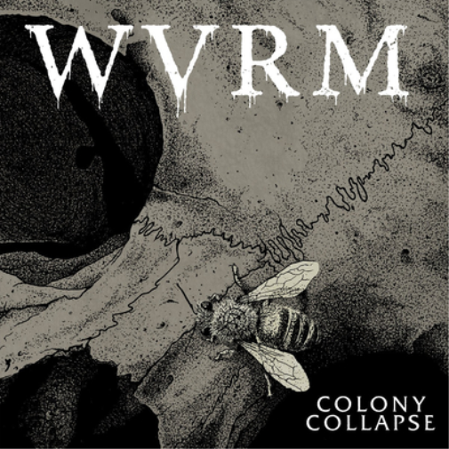 WVRM Colony Collapse (Vinyl LP) 12" Album