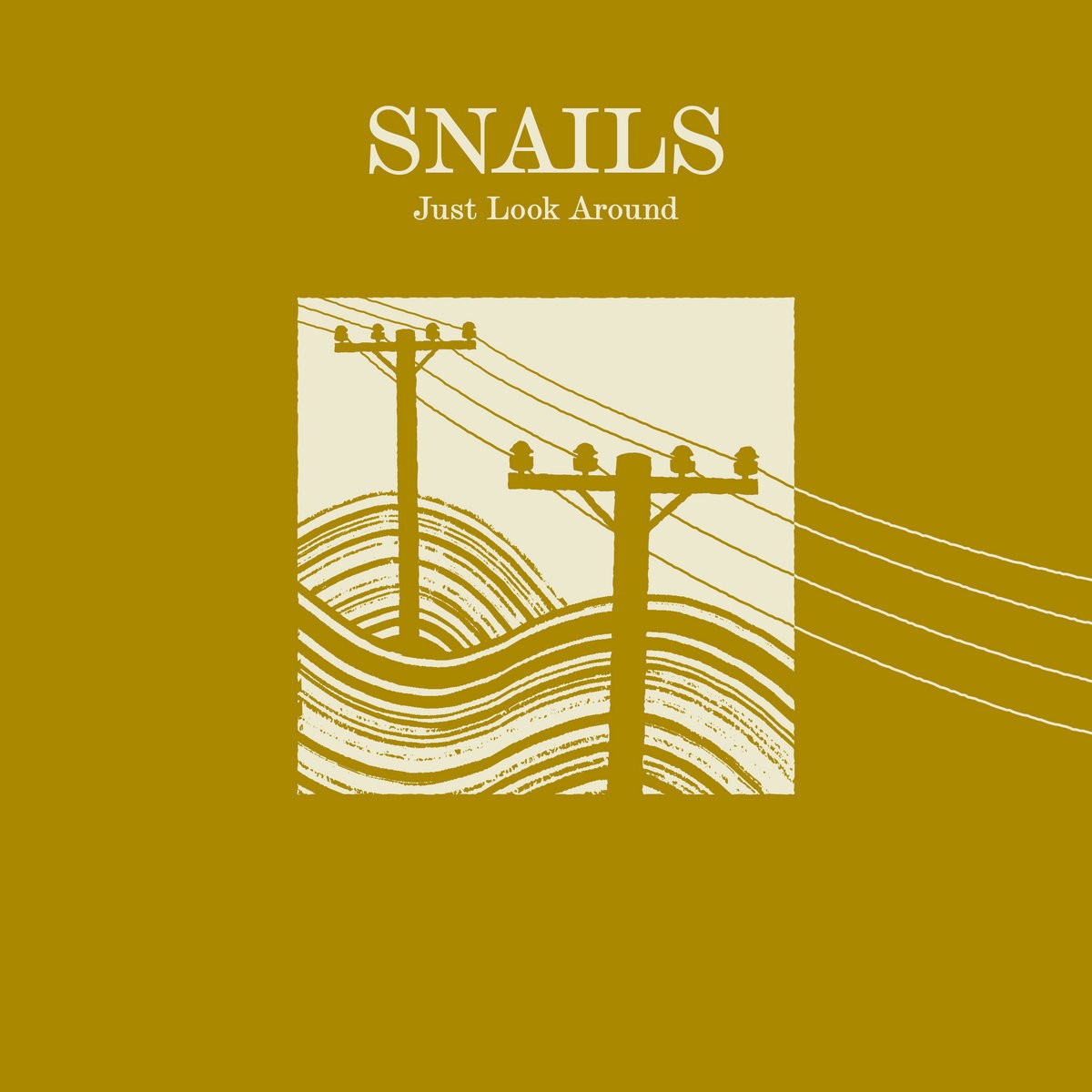 Snails Just Look Around (Vinyl LP) 12" Album