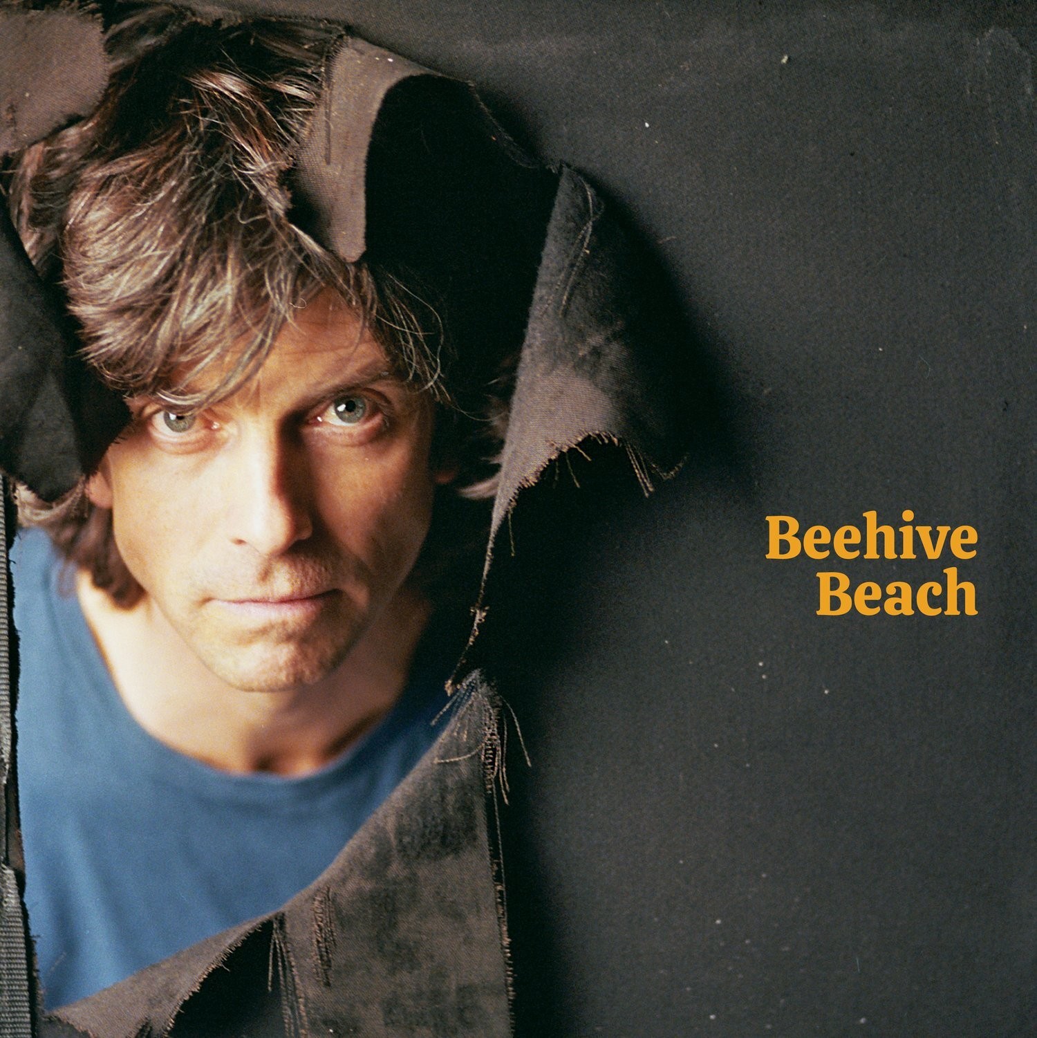 Euros Childs Beehive Beach (Vinyl LP) 12" Album