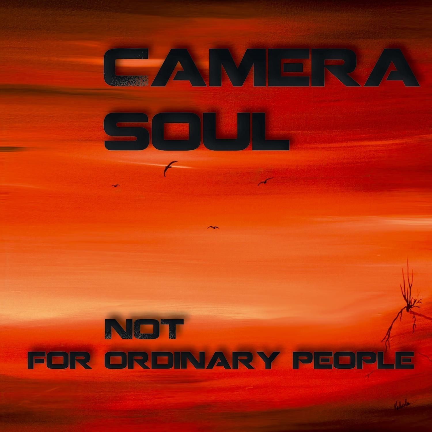 Audio Cd Camera Soul - Not For Ordinary People