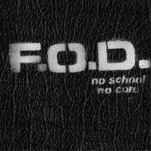 Flag of Democracy No School No Core (Vinyl LP) 12" Album