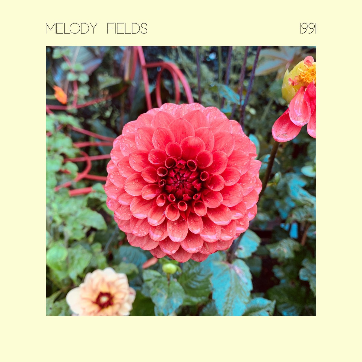 Melody Fields 1991 (Vinyl LP) 12" Album