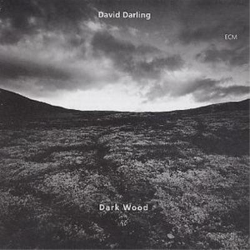 David Darling Dark Wood (CD) Album