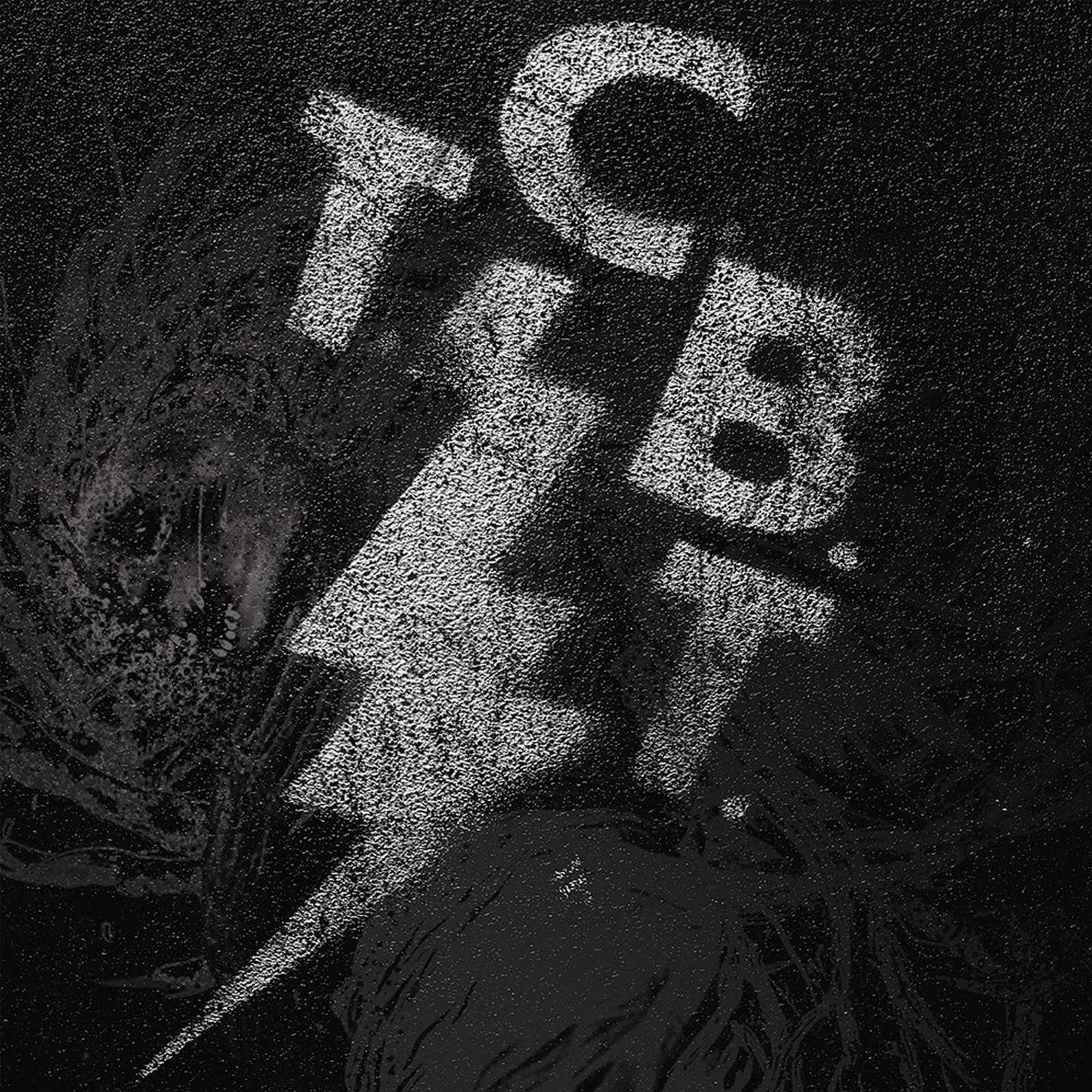 Black Tusk TCBT Ltd. Crystal Clear (Vinyl LP)