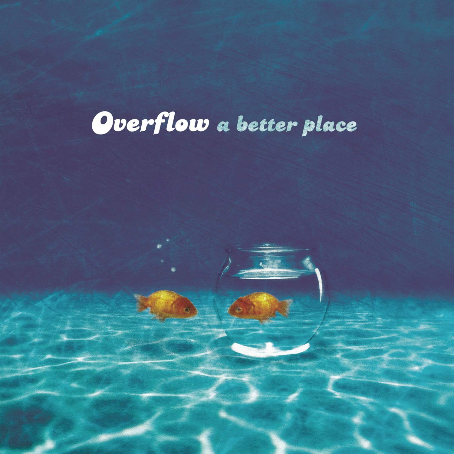 Overflow A Better Place (CD)