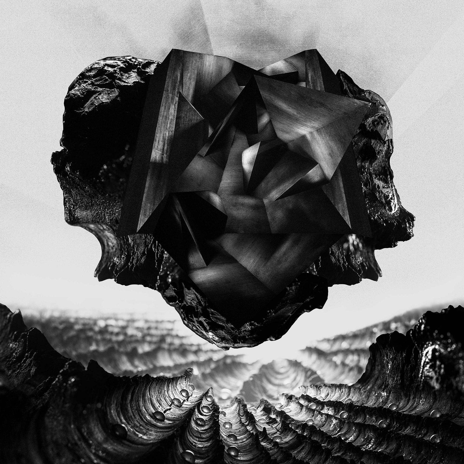 Farer Monad (Vinyl LP)