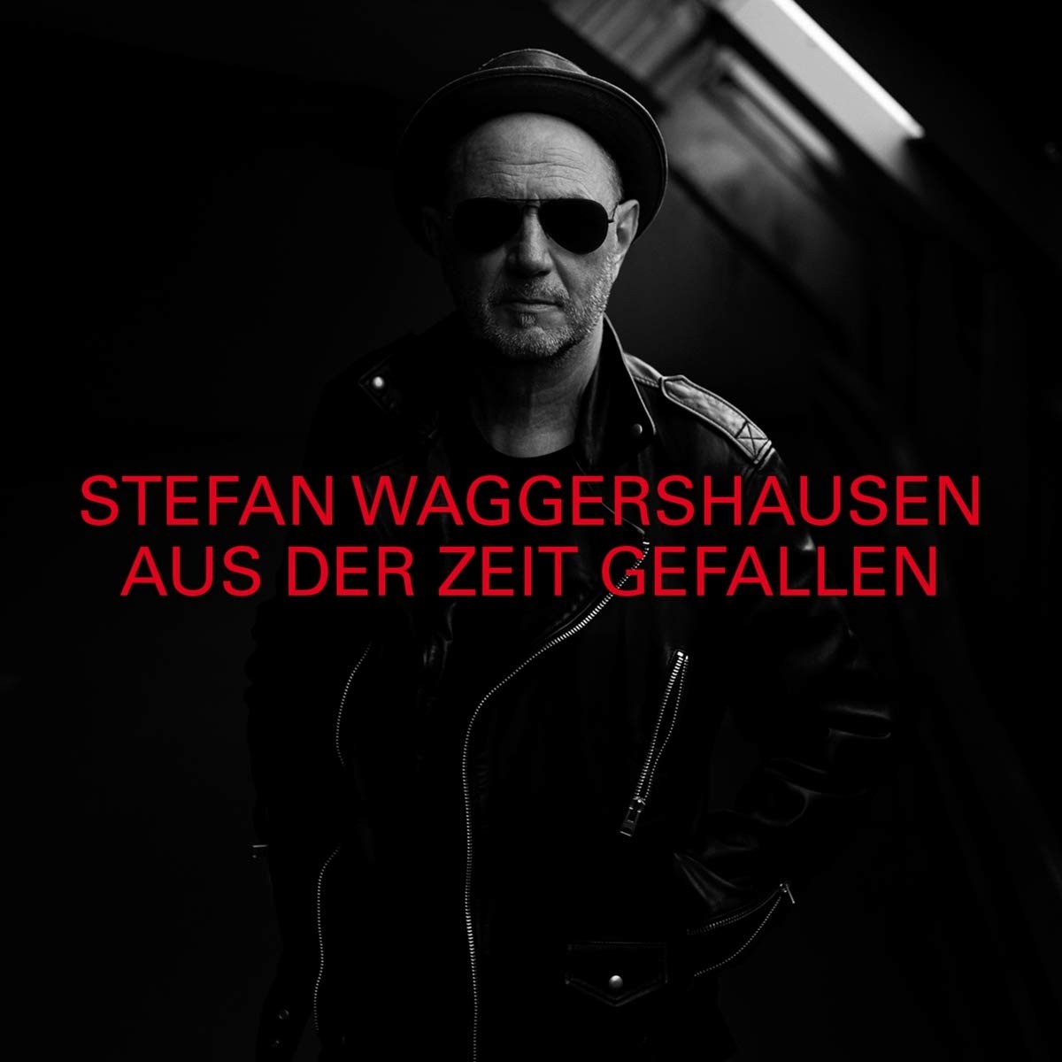 Stefan Waggershausen Aus der Zeit Gefallen (Limited Vinyl Edition) (Vinyl LP)