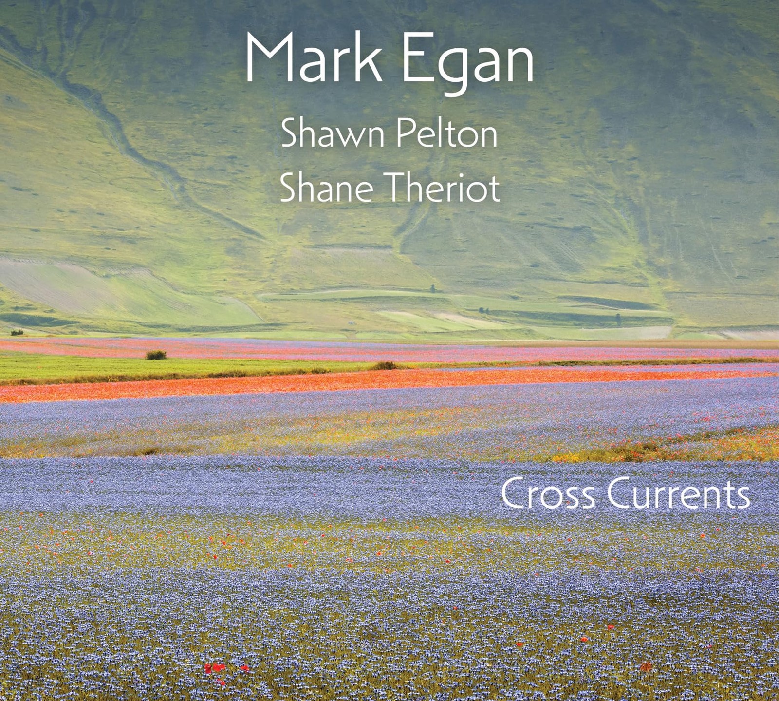 Mark Egan Cross Currents (CD)