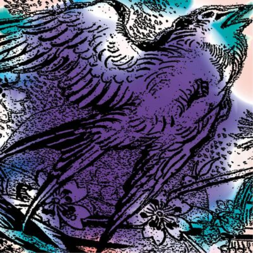 Various Artists One Swallow Doesn't Make a Summer, Part 3 (Vinyl LP) 12" EP