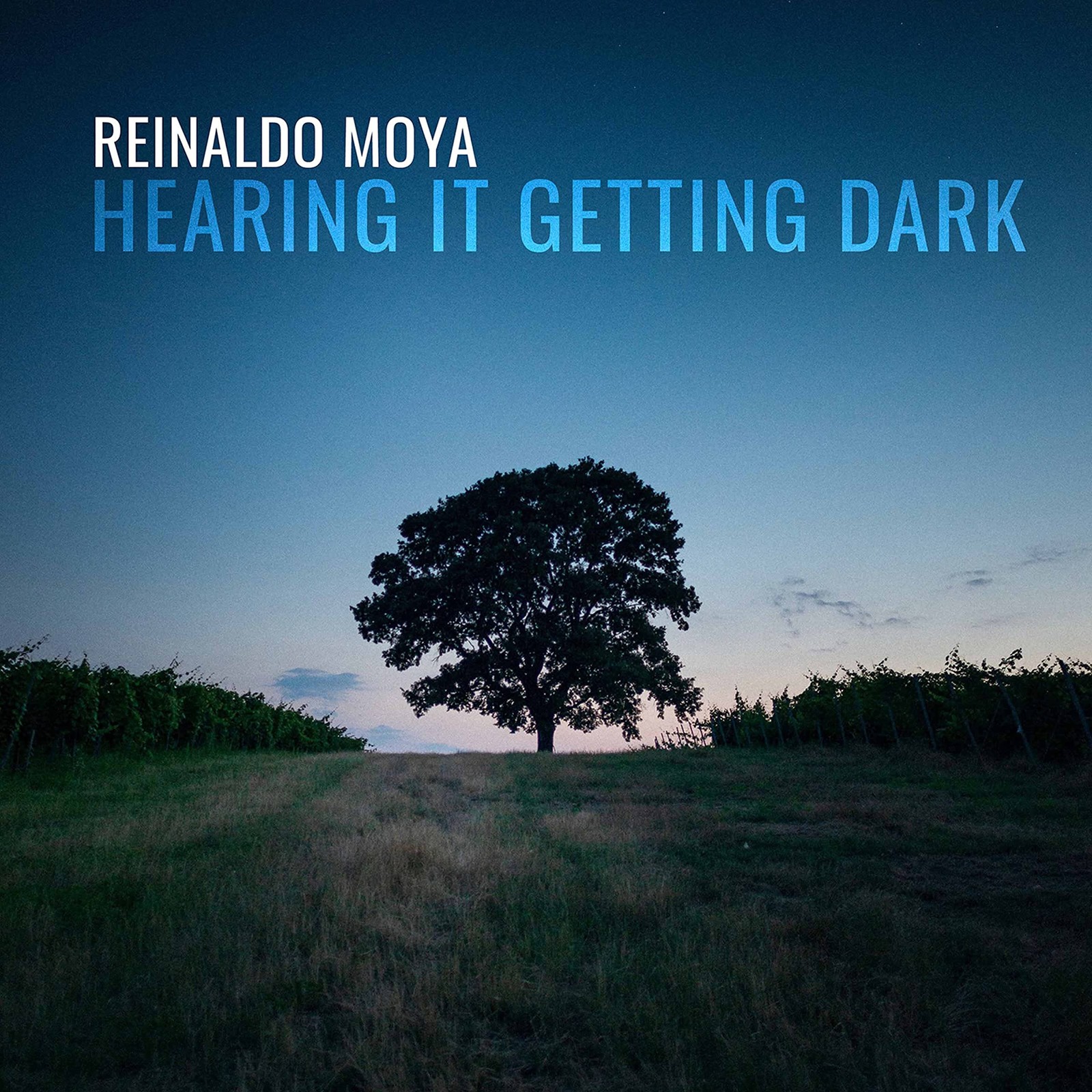 __ Hearing It Getting Dark (CD)
