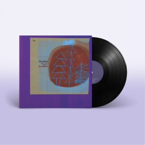 Pastels The Last Great Wilderness (Vinyl LP) 12" Album