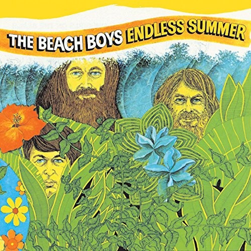 Endless Summer (2 LPs) [Vinyl] by The Beach Boys [VINYL]