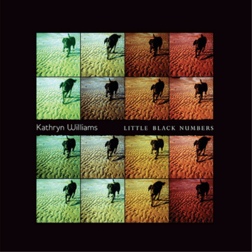 Kathryn Williams Little Black Numbers (Vinyl LP) 12" Album (Limited Edition)