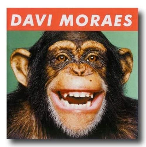 Davi Moraes Papo Macaco (CD)