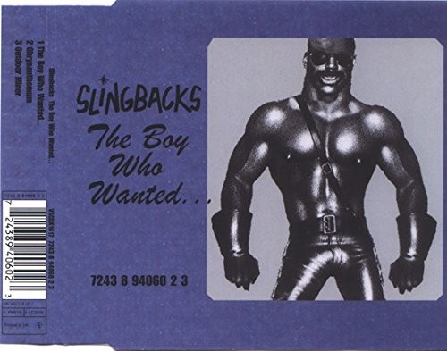 Slingbacks Boy Who Wanted (CD)