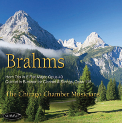 Johannes Brahms Brahms: Horn Trio in E Flat Major, Opus 40/... (CD) Album
