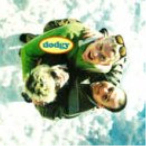 Dodgy Found You (CD)